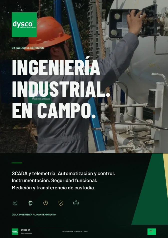 Vista previa del catálogo de servicios DYSCO EP